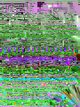 SashaMoo online show from 07-06-26, 11:07