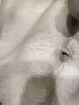 pussyedestroyer online show from 05-31-26, 02:09