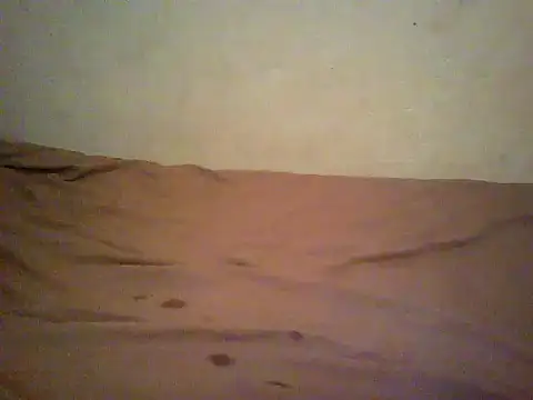 HomeBully online show from 06-27-26, 12:33