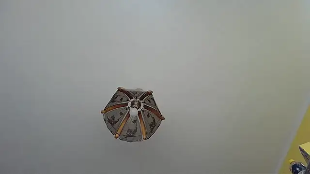 Butterfly PL online show from 07-09-26, 08:07
