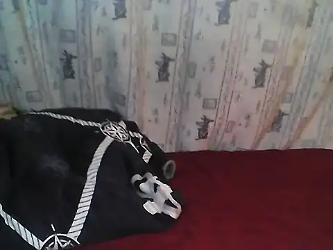 Buchi sexylady online show from 06-19-26, 07:17