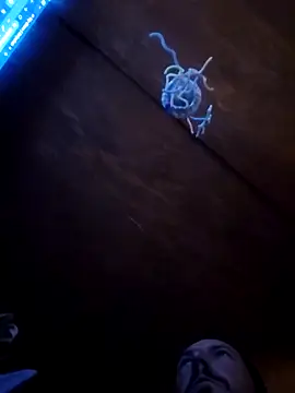 UncutHammer69 online show from 04-09-26, 03:06