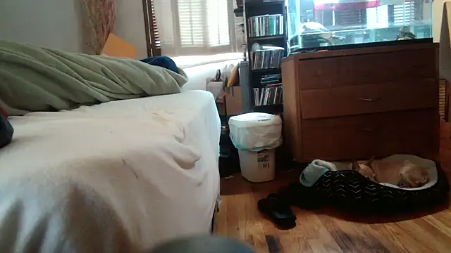 jumpingtomflash online show from 04-16-26, 02:01