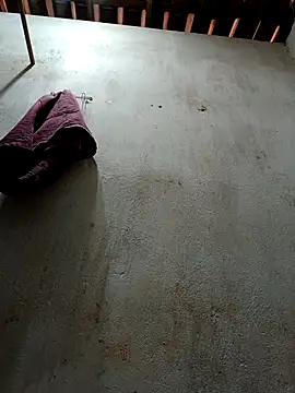 Snapshot of Daniellhck chatting on 11-23-25, 12:05 Daniellhck online show from 11-23-25, 12:05