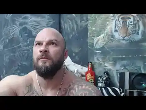 viking 30 online show from 04-13-26, 06:02