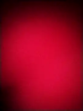 EvaCristal online show from 12-20-25, 09:49