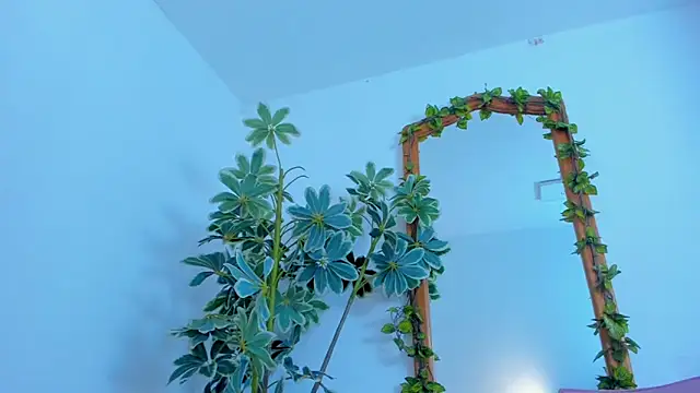 NinaWong online show from 02-26-26, 07:02