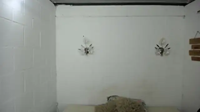 SexyKataShow online show from 07-05-26, 09:33