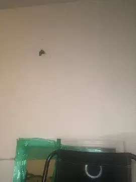 Snapshot of Foreignthababyy chatting on 01-13-26, 03:12 Foreignthababyy online show from 01-13-26, 03:12