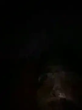 Eslam222s online show from 03-14-26, 12:06