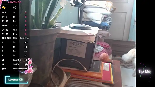 Snapshot of Star-Night chatting on 02-01-26, 04:11 Star-Night online show from 02-01-26, 04:11