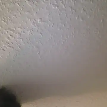 Zauberstab8 online show from 10-19-25, 08:53