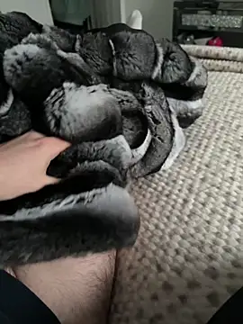 Furdale online show from 02-09-26, 03:38