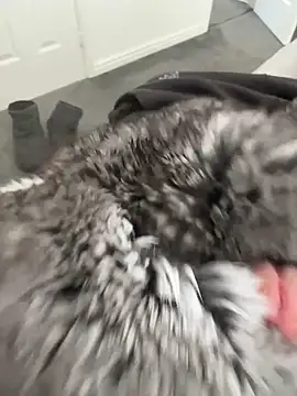 Furdale online show from 04-16-26, 12:17