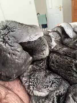 Furdale online show from 04-23-26, 01:57