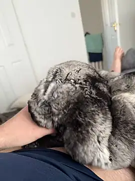 Furdale online show from 04-27-26, 12:03