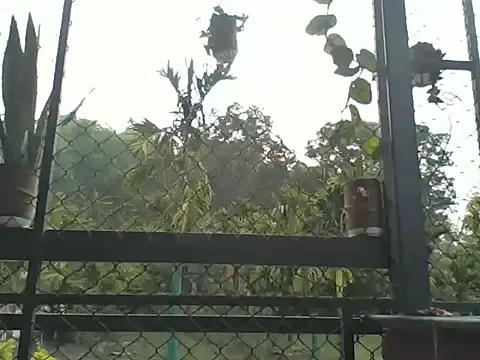 Indiaguy4u online show from 03-23-26, 02:15