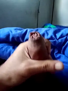 rodovlaz online show from 04-02-26, 10:57