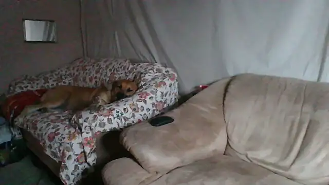 Snapshot of xykenrah48 chatting on 03-18-26, 01:20 xykenrah48 online show from 03-18-26, 01:20