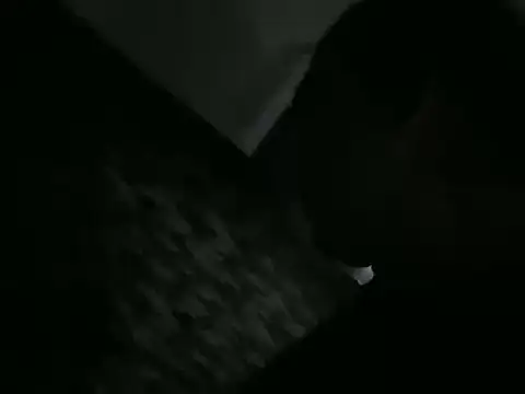 Snapshot of ALPHANDRE chatting on 03-09-26, 07:29 ALPHANDRE online show from 03-09-26, 07:29