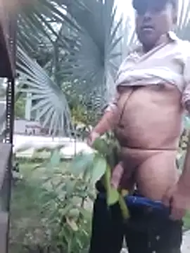 Pitercom online show from 04-03-26, 12:30