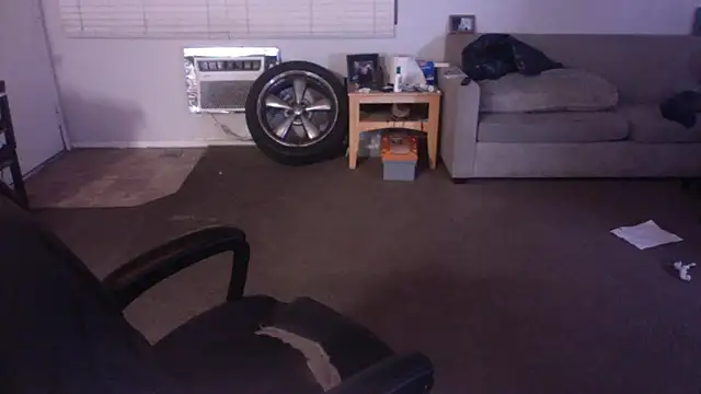 Snapshot of palidin1 chatting on 04-17-26, 07:33 palidin1 online show from 04-17-26, 07:33