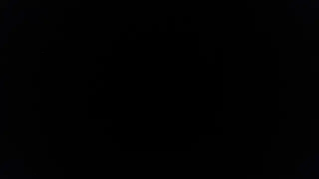 palidin1 online show from 06-27-26, 07:41