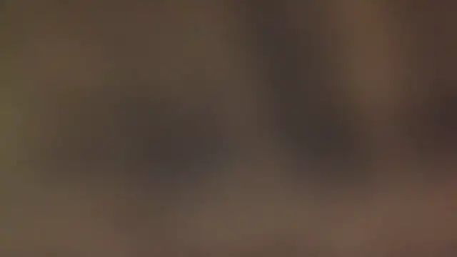 leccaleccafiga online show from 03-07-26, 10:40