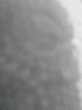 Sexilvenia online show from 05-15-26, 10:28