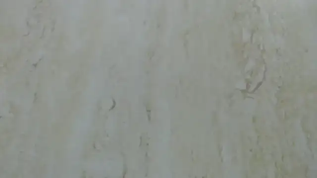 Snapshot of Crazy_team_ chatting on 12-20-24, 03:31 Crazy team online show from 12-20-24, 03:31