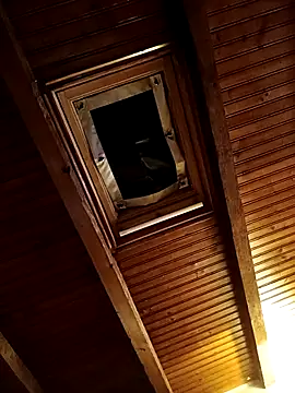 CurlyElisa online show from 02-26-26, 09:36