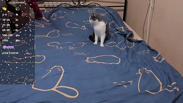 eva zero online show from 03-03-26, 02:01