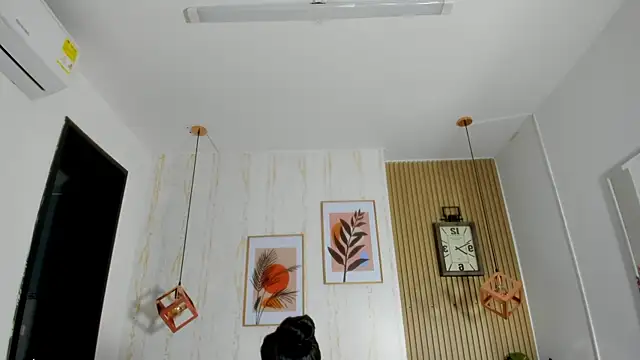 CameronCollins  online show from 02-22-25, 07:36