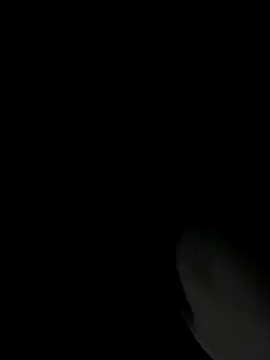 RomaLovesFamily online show from 11-16-25, 09:26