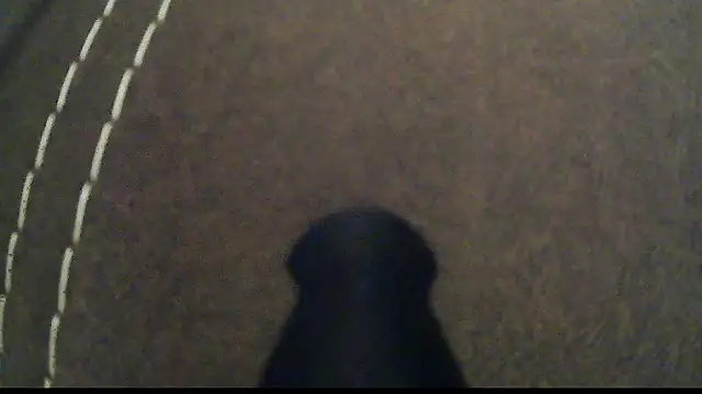 Dzutt online show from 01-12-25, 05:33