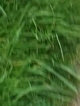 Mallu King of Penis online show from 05-03-26, 04:35