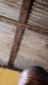 LULE37587001 online show from 03-18-26, 10:35