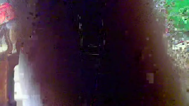 OSIRlS online show from 03-23-26, 11:03