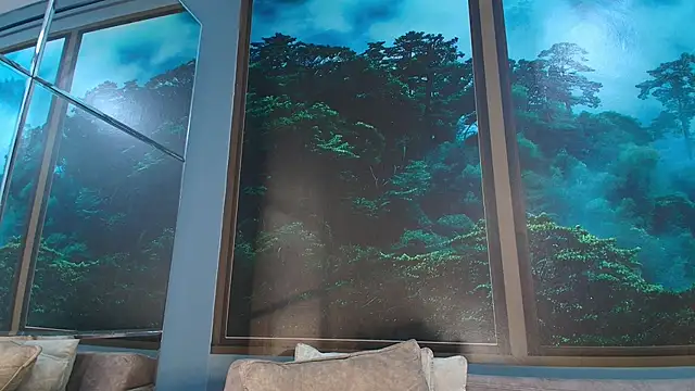 Snapshot of JONAS_SMITH_ chatting on 02-01-25, 06:29 JONAS SMITH online show from 02-01-25, 06:29