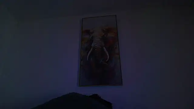 JONAS SMITH  online show from 06-14-26, 02:30