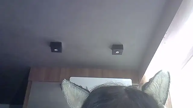 Skinny-Kitten online show from 05-22-26, 03:06