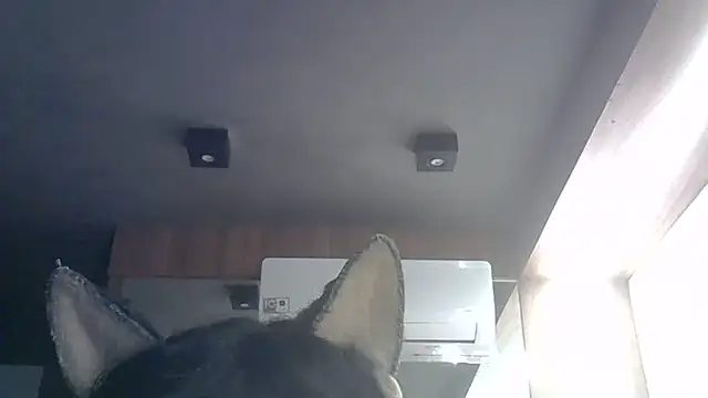 Skinny-Kitten online show from 05-29-26, 09:29