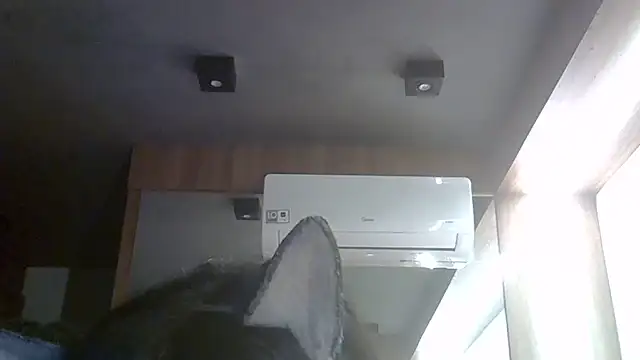 Skinny-Kitten online show from 05-30-26, 06:38