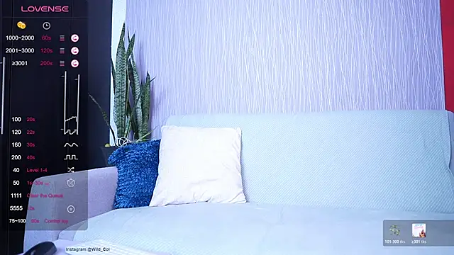 wild col  online show from 04-17-26, 01:30