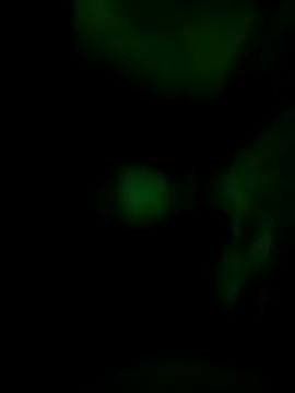 Vuyokaki online show from 11-30-25, 02:37