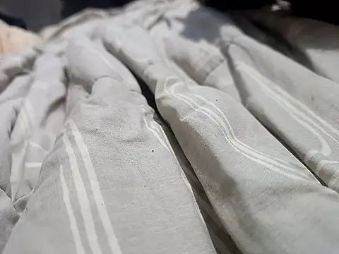 Mailsonp online show from 03-30-26, 03:35