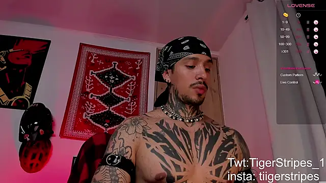 TigerStripes1  online show from 03-19-26, 06:28