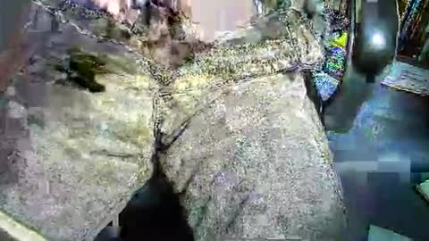 1etabrutahc0 online show from 01-07-26, 12:29