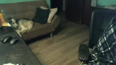 1handyanddee online show from 11-30-25, 01:53