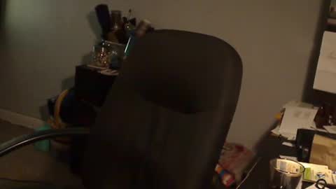 Susan online show from 01-30-25, 01:33